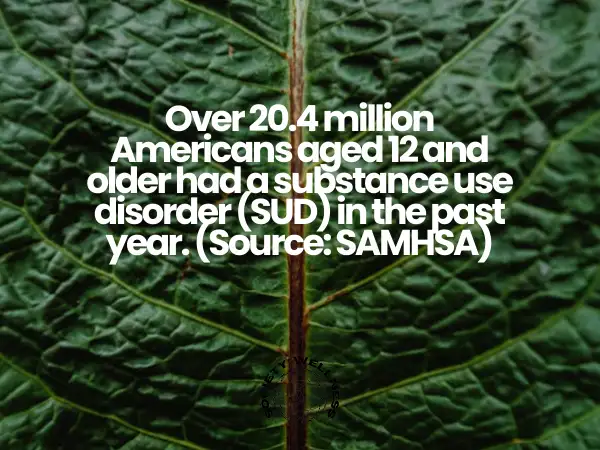 Statistics on Addiction, Cravings, and the LGBTQ