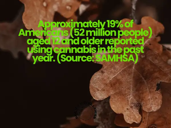 Statistics on Cannabis Use